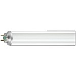TL-buis Philips TLDXTRA58W840PL TL-buis Philips TLDXTRA58W840PL